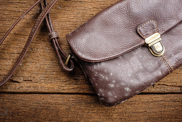 Как и чем почистить кожаную сумку в домашних условиях