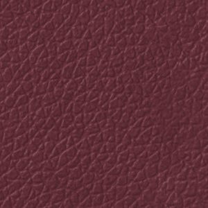  Garnet