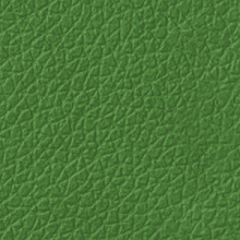 Восстановитель цвета (Palm Green) - Картинка товара