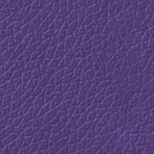 Восстановитель цвета (Violet) - Картинка товара