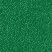 Восстановитель цвета (Jade) - Картинка товара