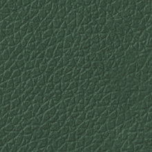 Восстановитель цвета (Foliage Green) - Картинка товара